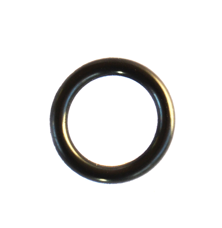 O Ring  F0020031900 